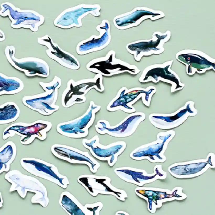 Box-packed set of 45 printed whale decorative stickers