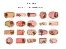 Garden Label Retro Floral Writable Sticker Set