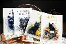 Nordic Cat PET Sticker Set – Choose from Six Printed Designs