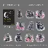Nordic Cat PET Sticker Set – Choose from Six Printed Designs