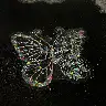 Transparent Butterfly and Magic World Laser Sticker Packs