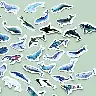Whale Japanese-Style Decorative Sticker Set