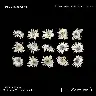 Camellia Flower PET Waterproof Sticker Set – 30 Pieces