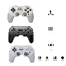 USB-C Vibration Game Controller for Switch, Windows, Steam and macOS