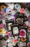 Moon Flower Retro Washi Sticker Pack – Bottle and Time Series