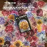 Moon Flower Retro Washi Sticker Pack – Bottle and Time Series