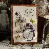 Moon Flower Retro Washi Sticker Pack – Bottle and Time Series