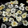 Camellia Flower PET Waterproof Sticker Set – 30 Pieces