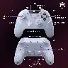 Wireless Steam Gaming Controller – Gray White