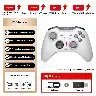 P5 Wireless Game Controller with Vibration and Motion Sensing
