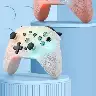 NS21 RGB Light Effect Wireless Gamepad